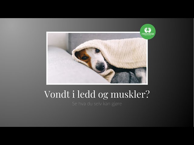 Vondt i ledd og muskler? - Se hva du kan gjøre selv! 6/21 | LEV DEG FRISK E06S03