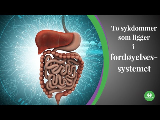 IBS og Obstipasjon - To sykdommer som ligger i fordøyelsessystemet 17/21 | LEV DEG FRISK E17S03